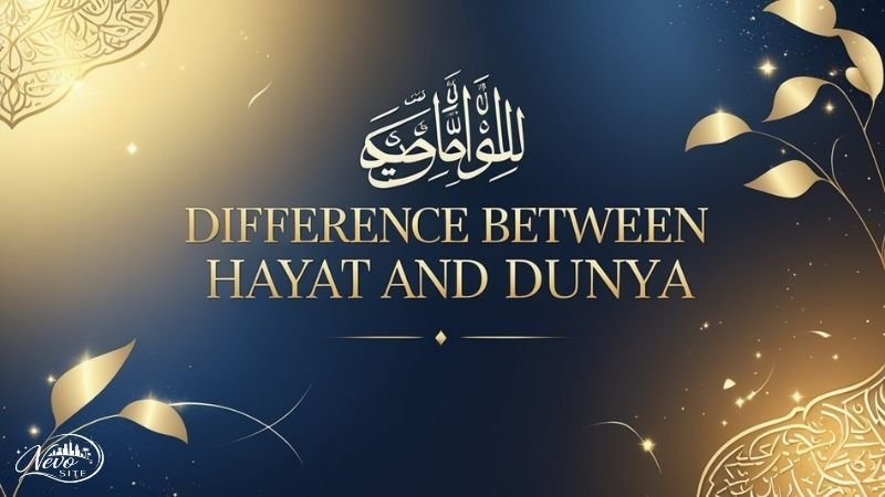 Difference Between Hayat and Dunya