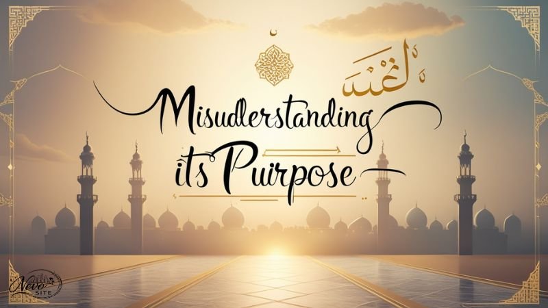 Misunderstanding Its Purpose