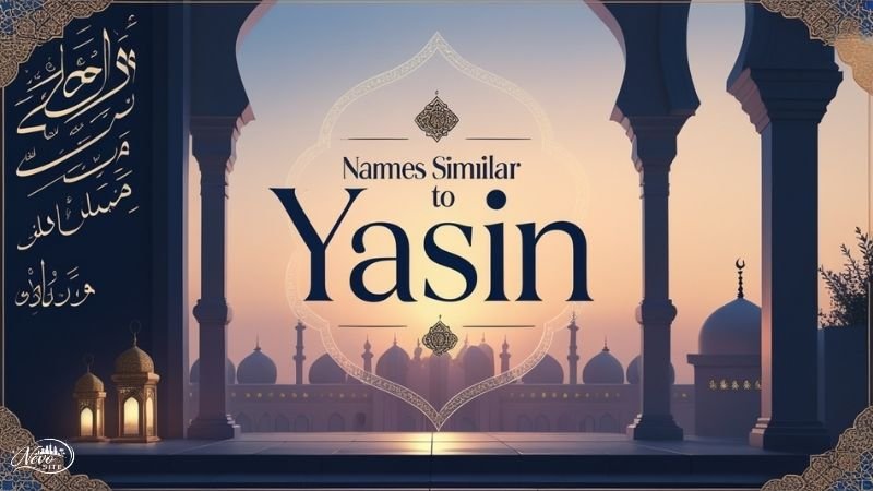 Names Similar to Yasin