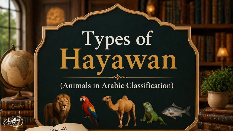 Types of Hayawan (Animals in Arabic Classification)