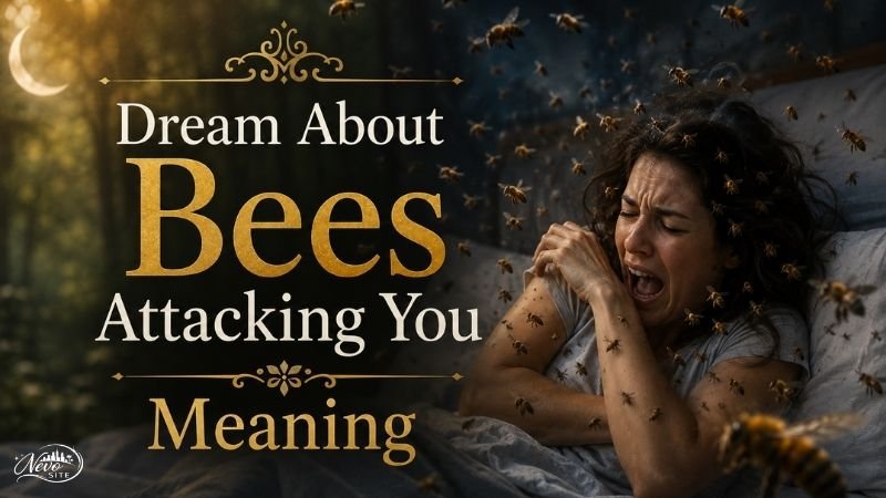 Dream About Bees Attacking You Meaning