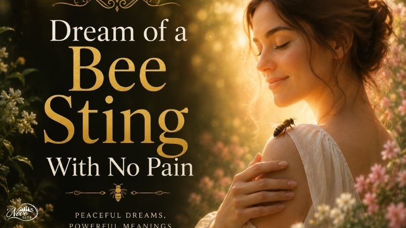Dream of a Bee Sting With No Pain