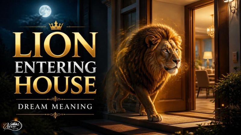Lion Entering House Dream Meaning