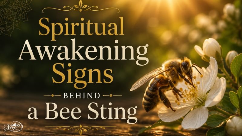 Spiritual Awakening Signs Behind a Bee Sting